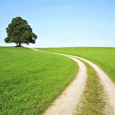 安博体育·(中国)官方网站