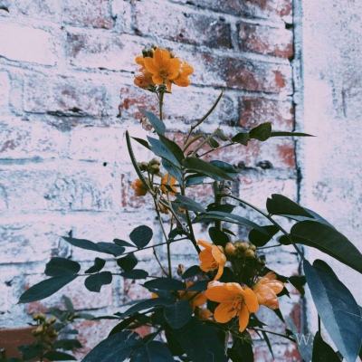 云开平台app最新版app下载